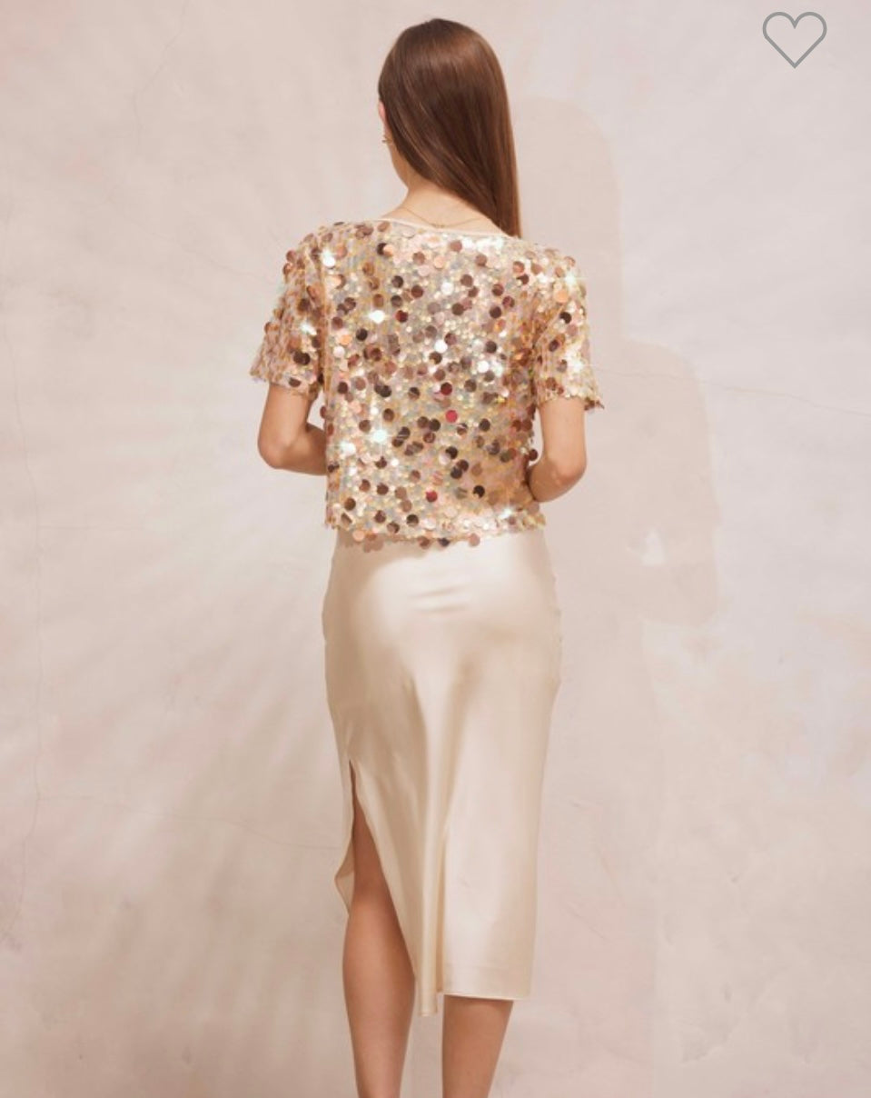 Iridescent Disc Sequin Top