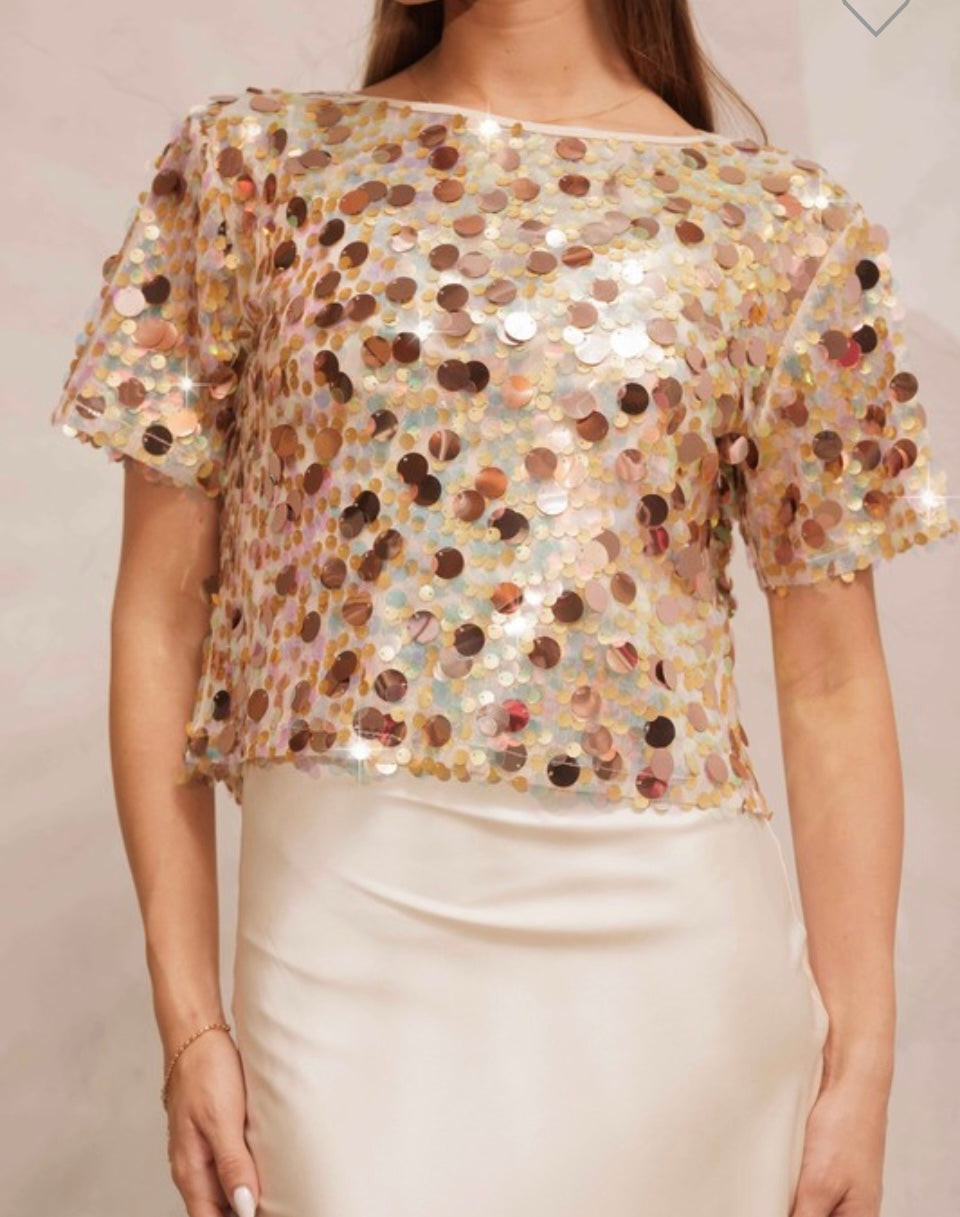 Iridescent Disc Sequin Top